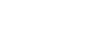 shine mobile detailing logo white