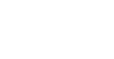 shine mobile detailing logo white